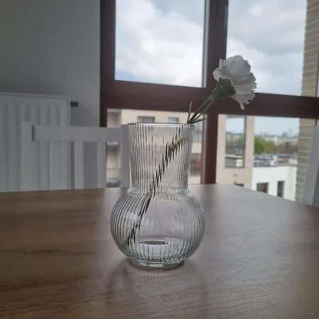 Chrobrego アパート *